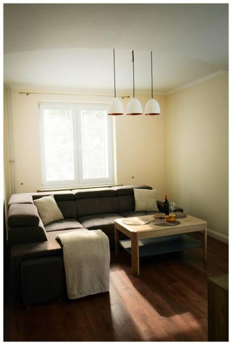 Color 24 Apartament VII Stalowa Wola Eksteriør bilde