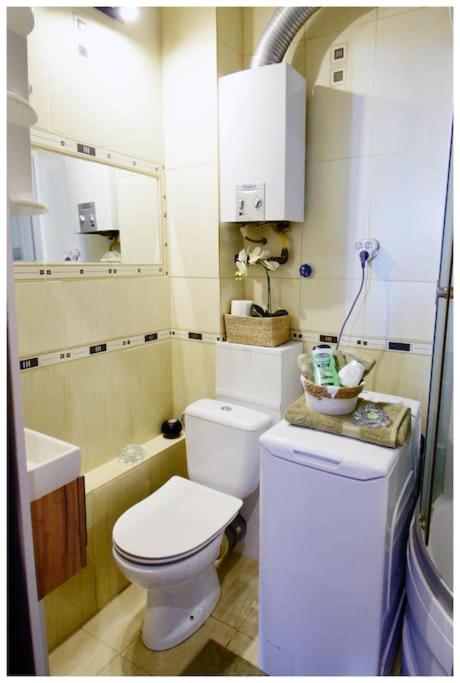 Color 24 Apartament VII Stalowa Wola Eksteriør bilde